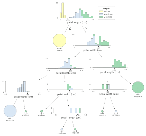 visualize decision tree with dtreeviz