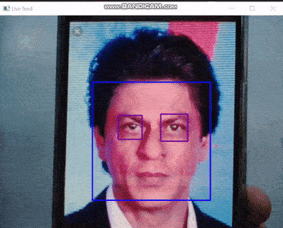 face and eye detection - machine learning projects with source code in python