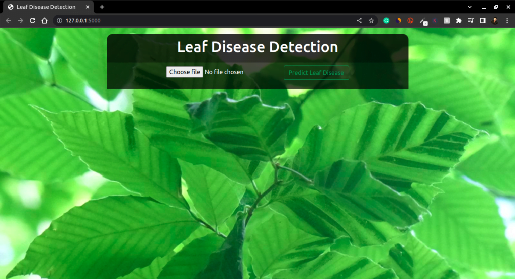 Best Final-Year Project Ideas - leaf disease detection flask app