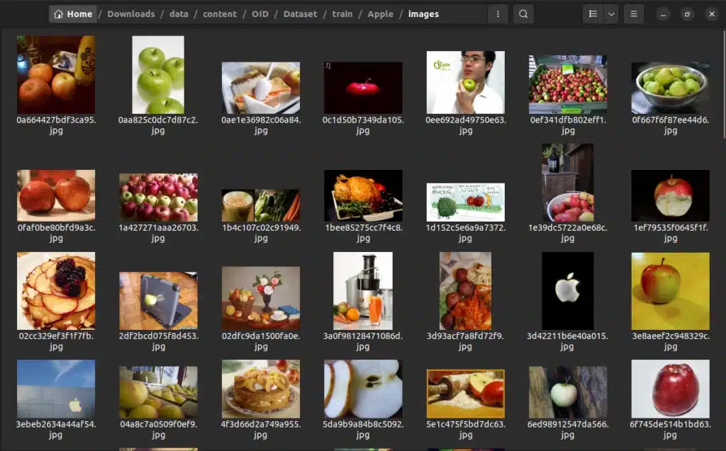 Machine Learning Projects Download Data from the Open Image Dataset